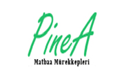 PİNEA logosu
